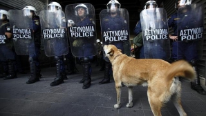 A murit Loukanikos, cainele protestatar din Atena, simbol al revoltelor anti-austeritate